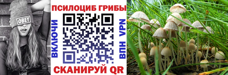 кракен зеркало  Лабинск  Галлюциногенные грибы прущие грибы 